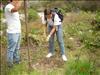 Servicio Comunitario FACES - Mucuchies (8)